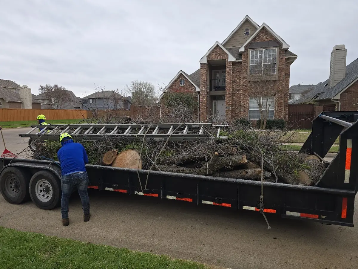 Expert Tree Fertilization with proper safety equipment in Chunky
